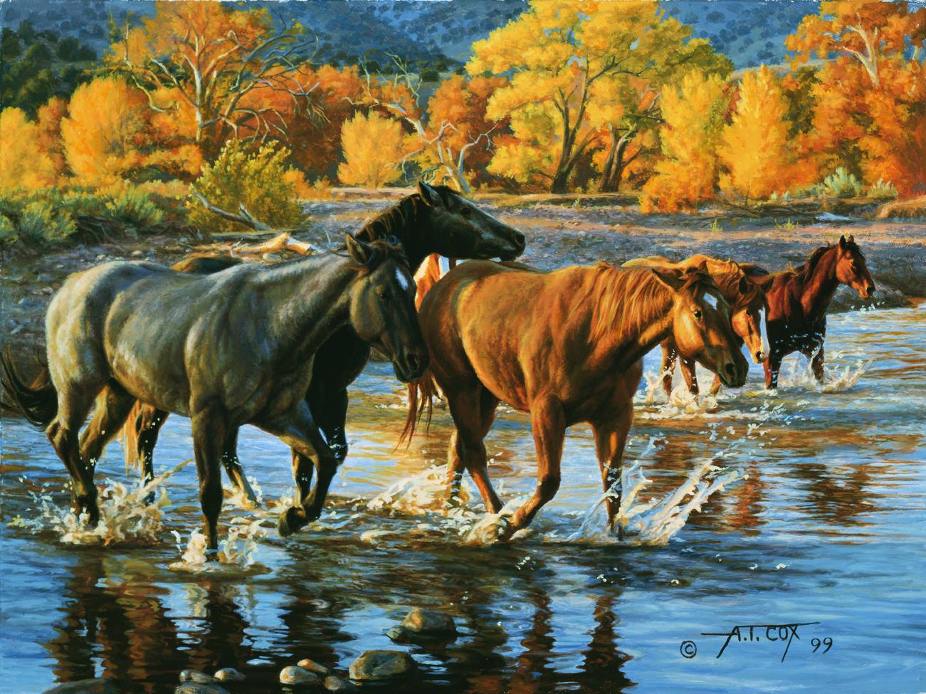 This is Tim Cox Fine Arts Horses Of The Creek